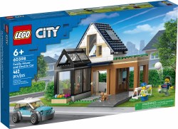 Family House Electric Car60398